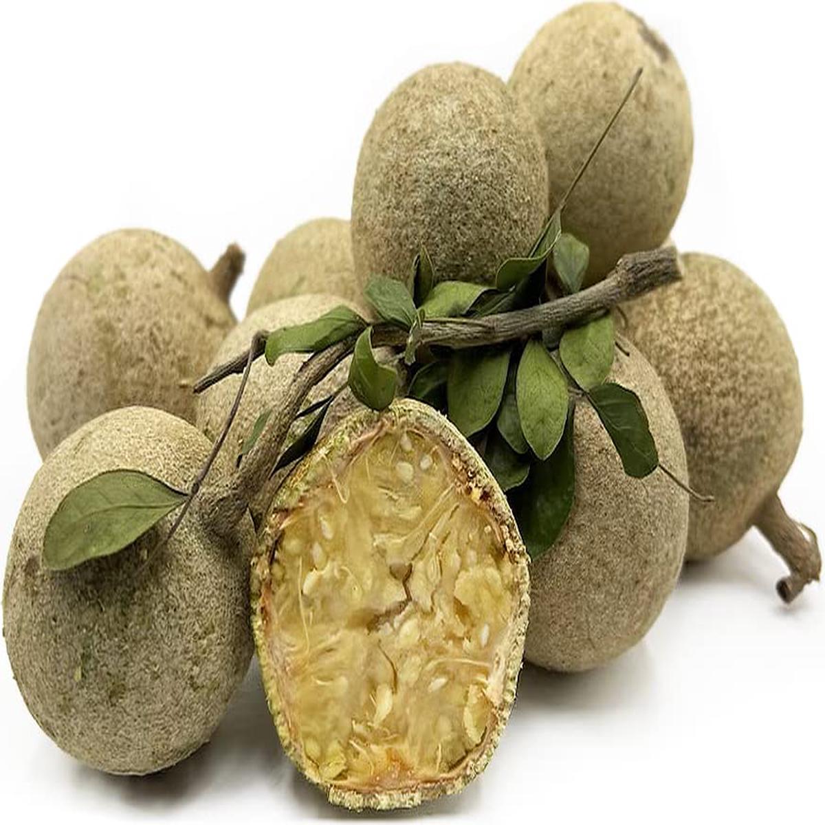 Wood Apple Fruit Seeds for Planting  Heirloom Non-GMO High Germination Organic Garden Seeds