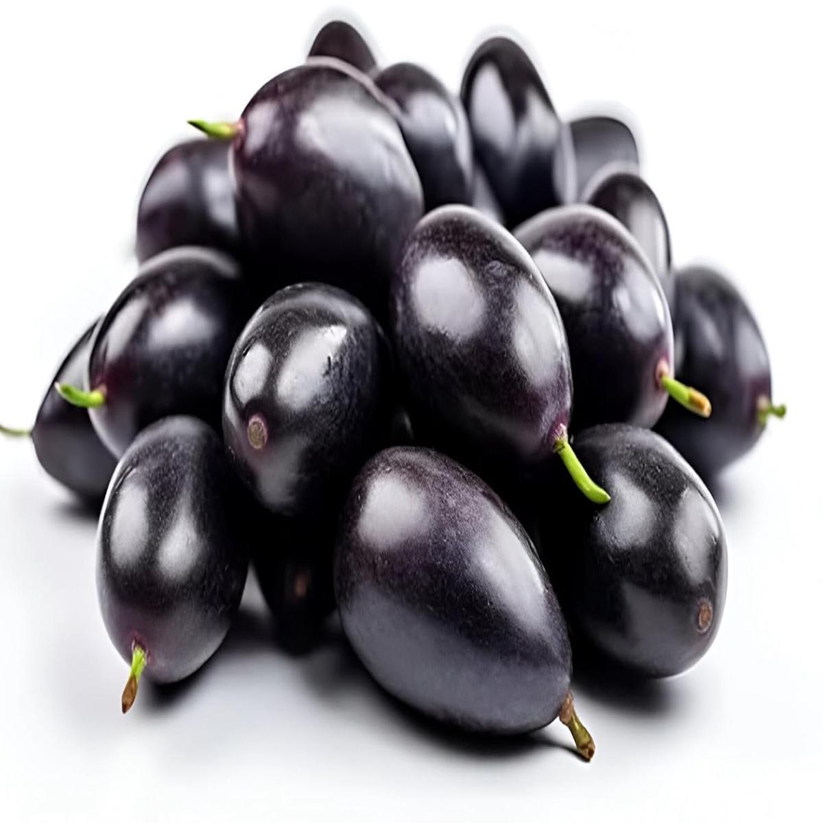 Jamun Seeds (Java Plum)  Fast-Growing Tropical Fruit Seeds for Garden Planting