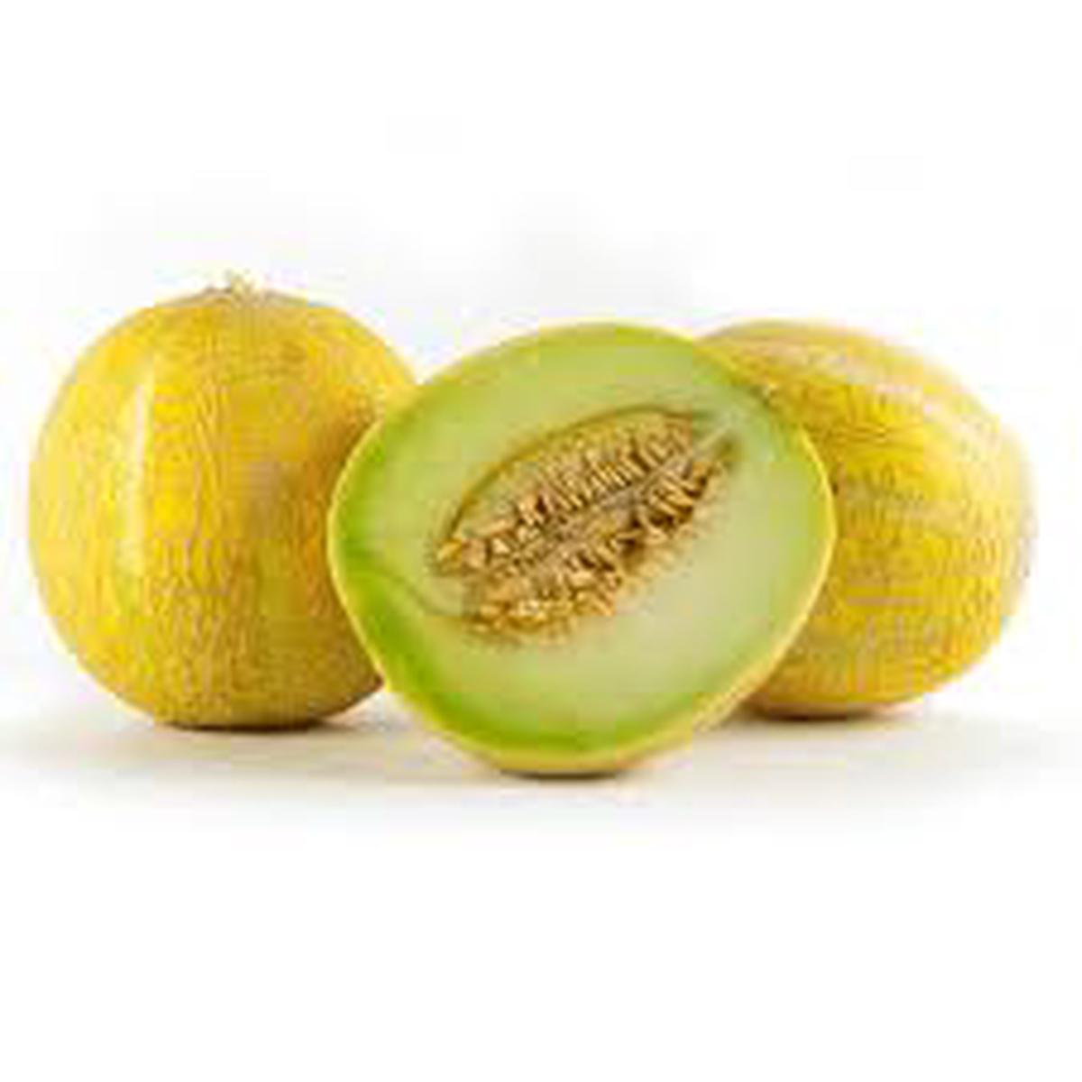 Lemon Drop Melon Seeds for Planting Heirloom & Non-GMO Citrusy Fruit Seeds for Refreshing Harvests