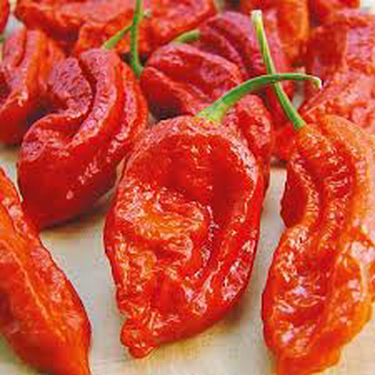 Bhut Jolokia Pepper Seeds for Planting  Heirloom & Non-GMO Vegetable Seeds for Extreme Heat Gardens