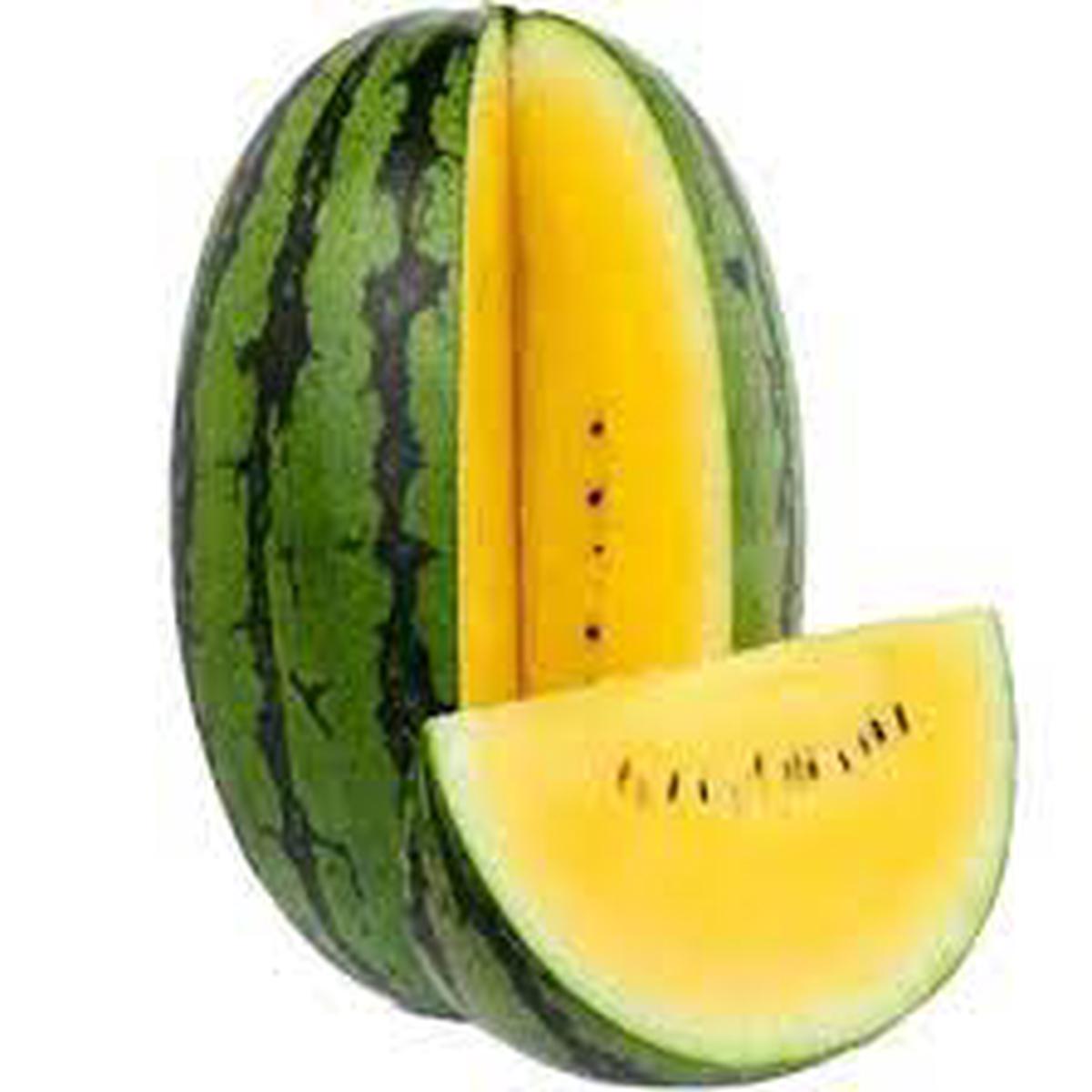 Yellow Watermelon Fruit Seeds for Planting Heirloom Non-GMO Vibrant Sweet Organic Garden Seeds with High Germination