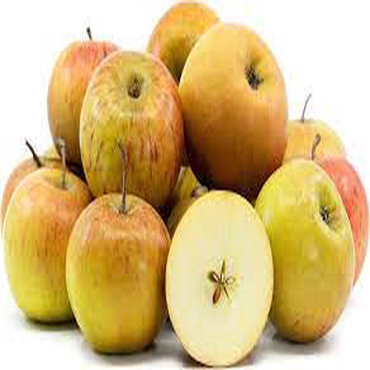 Grimes Golden Apple fruit seeds for planting - Heirloom & Non-GMO Garden seeds