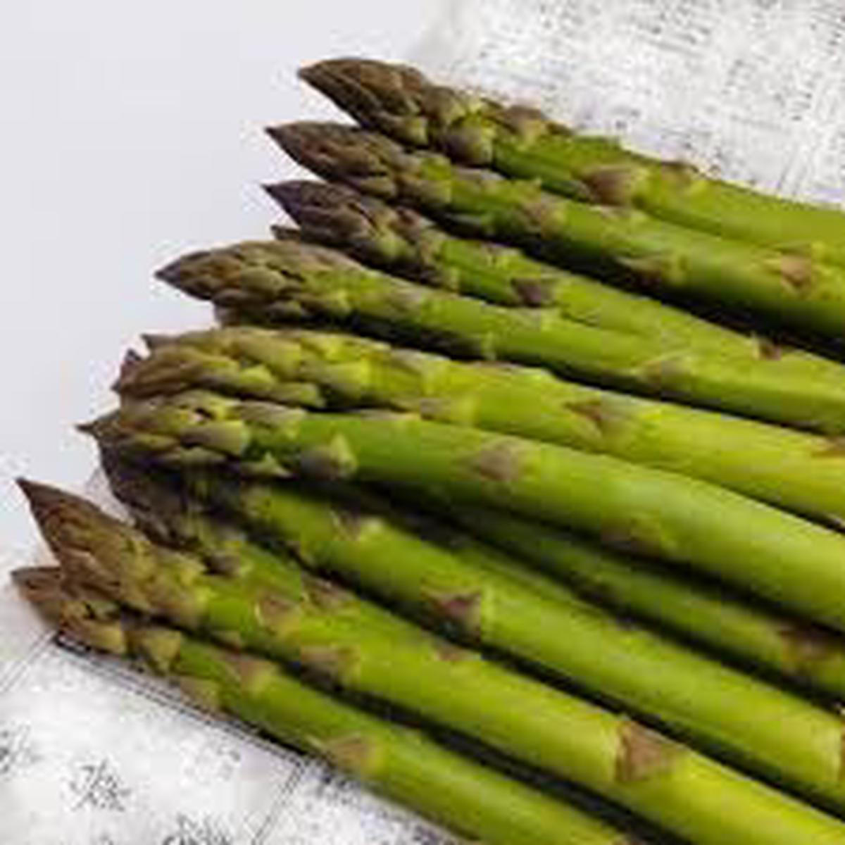 Asparagus Mary Washington Seeds Heirloom, High Yield, Non-GMO Vegetable Seeds for Home Garden