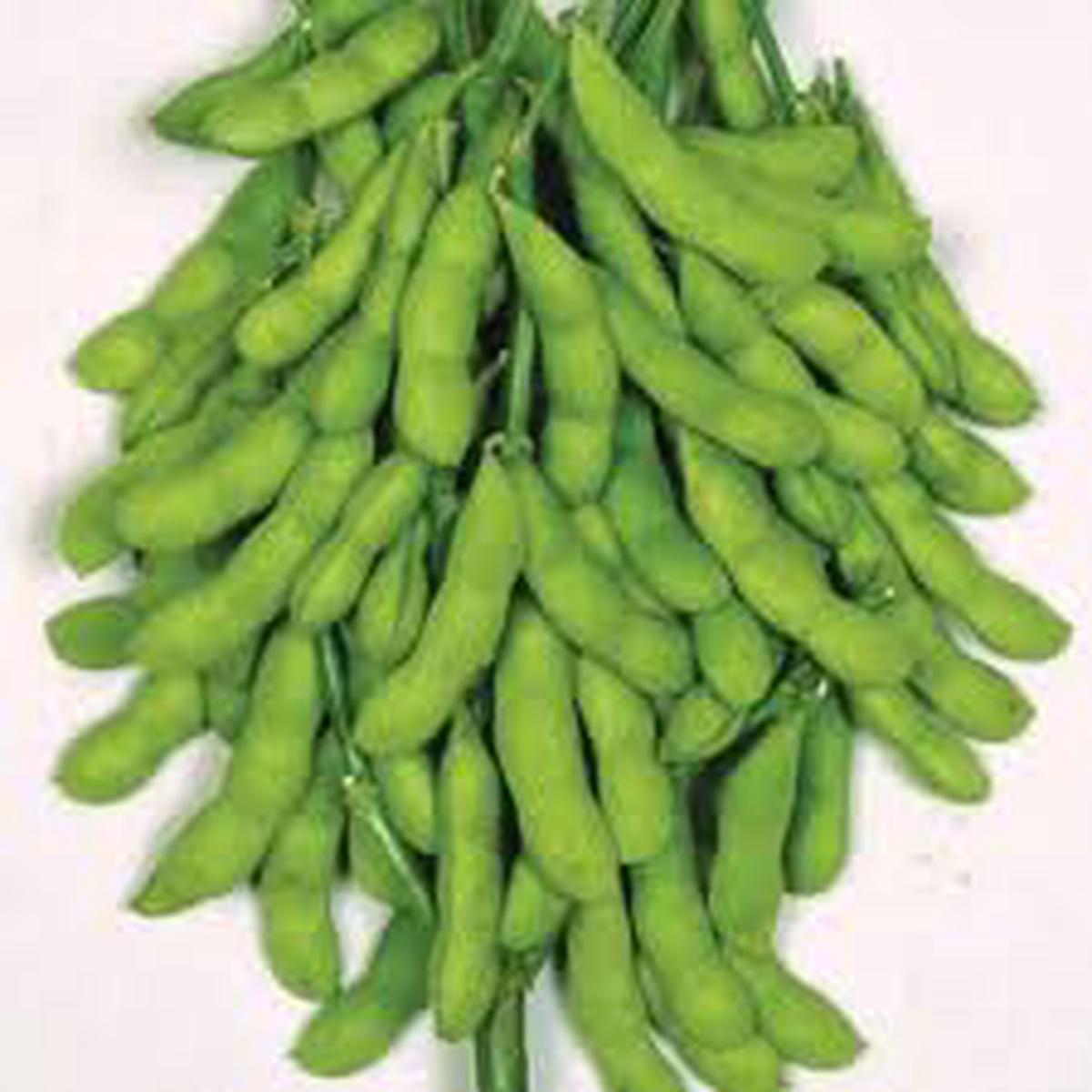 Green Soybean flower seeds for planting - Heirloom & Non-GMO Garden Seeds