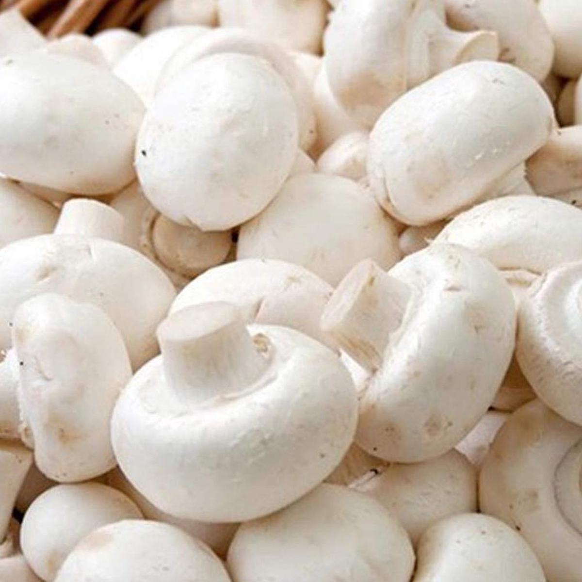 White Mushroom Button Vegetable Spores for Planting  Heirloom Non-GMO Organic Garden Spores  Soft Texture, High Germination
