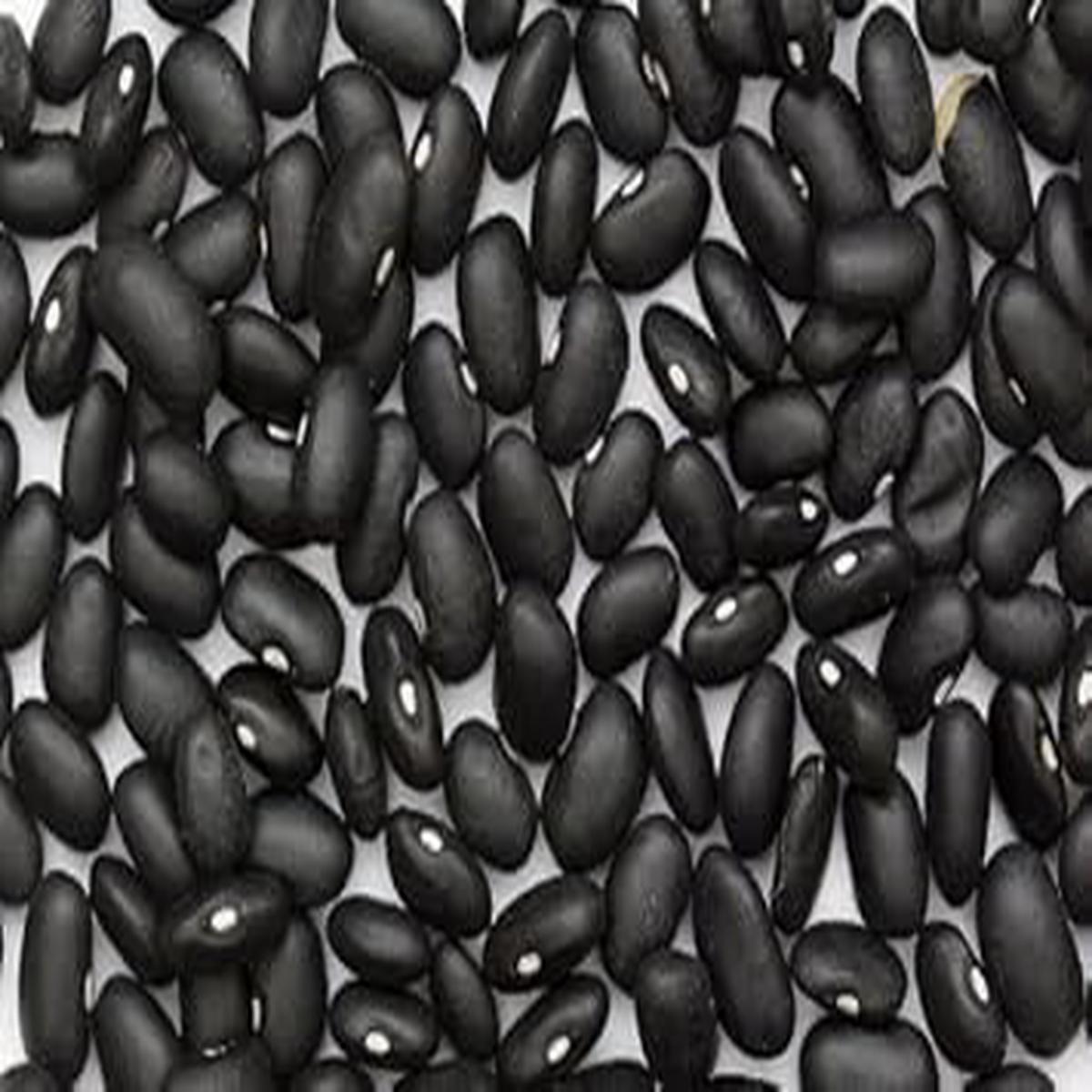Black Bean Seeds for Planting  Heirloom Non-GMO Protein-Rich Vegetable Seeds with High Germination for Organic Gardens