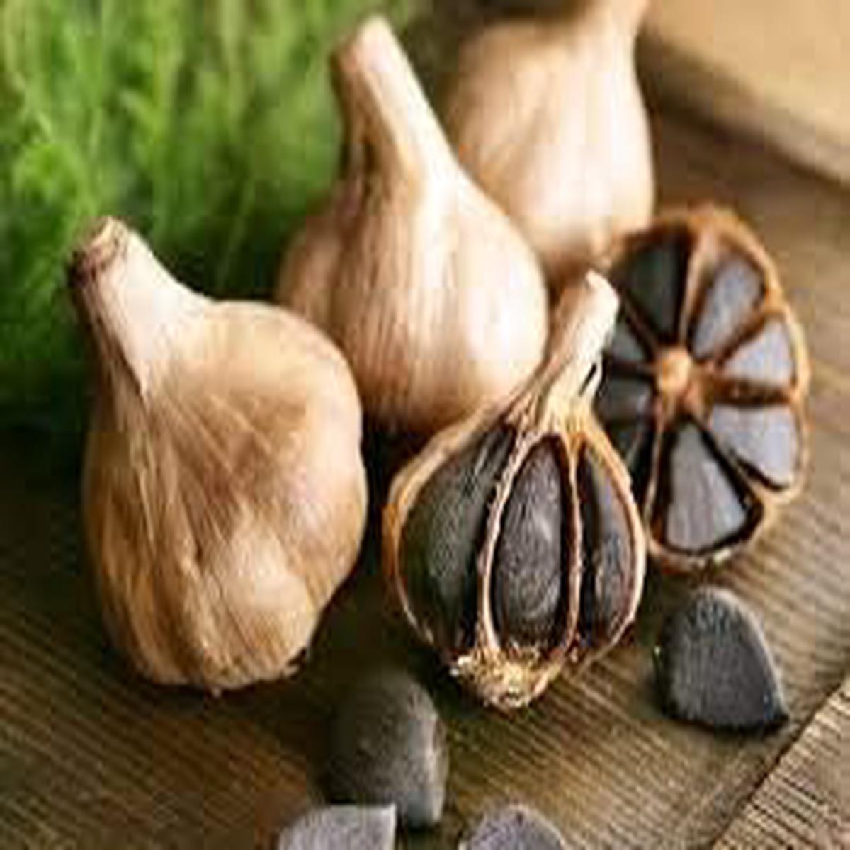 Black Garlic Seeds for Planting Black Heirloom, Non-GMO, Bold Flavor Organic Garden Seeds