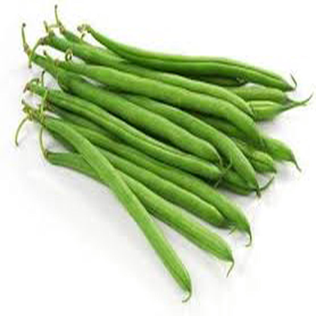 Black Turtle Pole Bean Plant Seeds for Planting  Heirloom Non-GMO High Germination Protein-Rich Hardy Beans