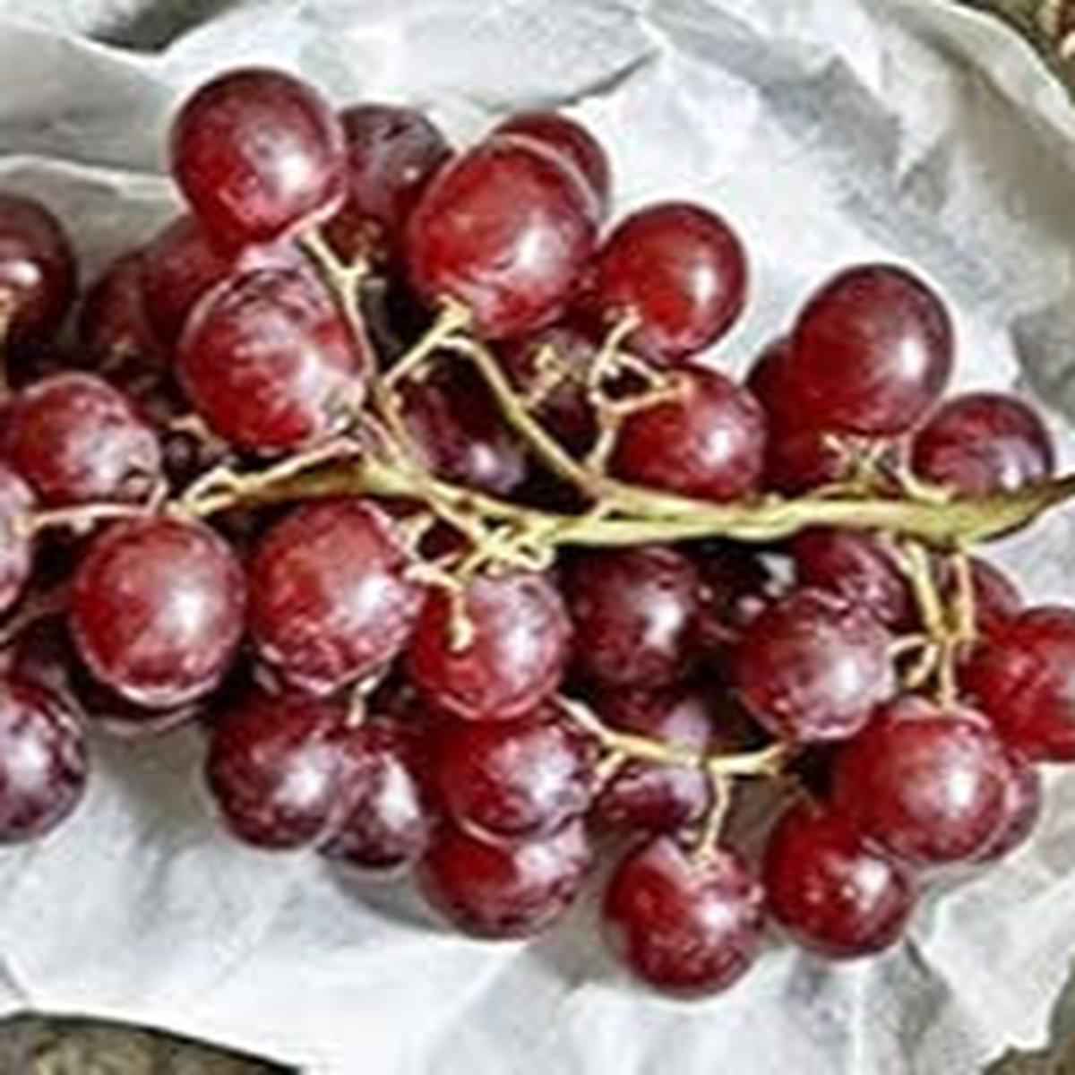 Brown Grapefruit fruit seeds for planting - Heirloom & Non-GMO Garden seeds
