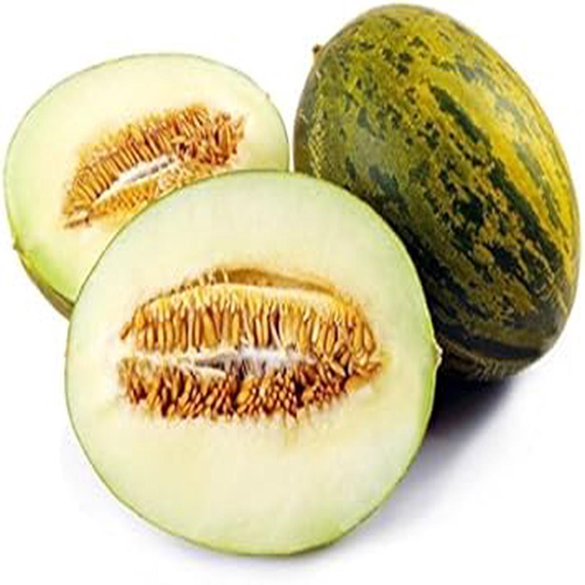 Green Toadskin Melon seeds for planting - Heirloom & Non-GMO Garden seeds, exotic melon variety with distinct texture