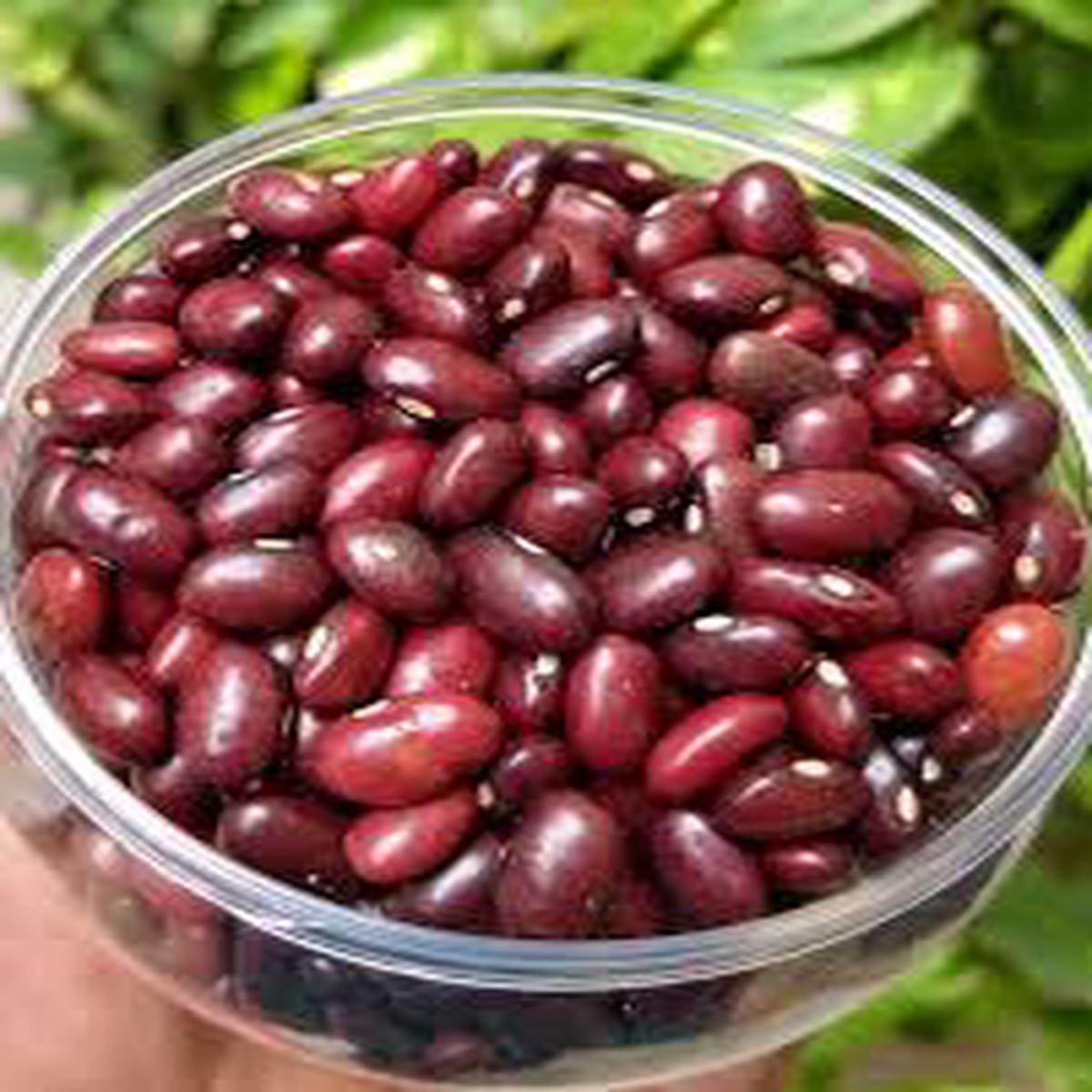 Kidney Bean Seeds for Planting Heirloom Non-GMO High Germination Seeds for Organic Vegetable Gardens