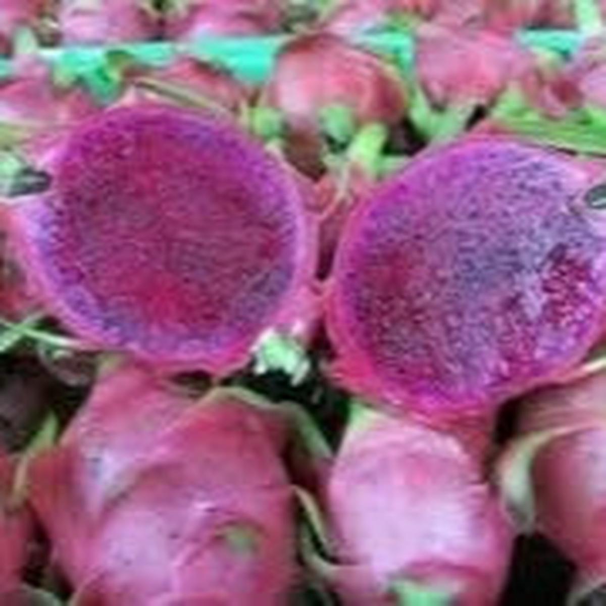 Lavender Pitaya fruit seeds for planting - Heirloom & Non-GMO Garden seeds