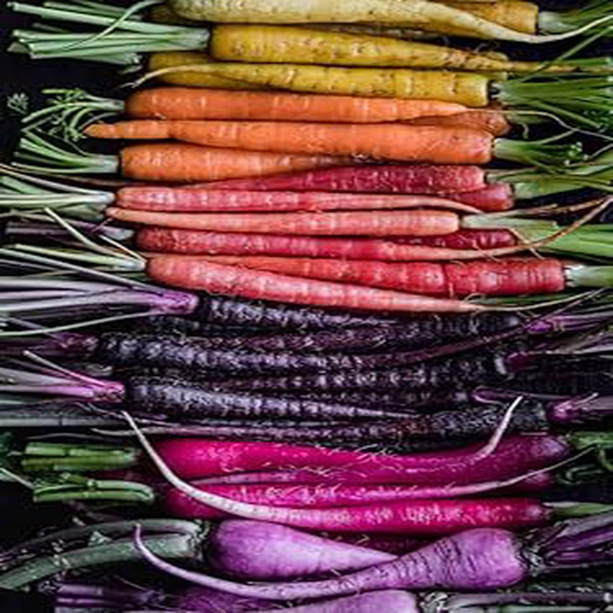 Mixed Carrot Vegetable Seeds for Planting Heirloom & Non-GMO Garden Seeds