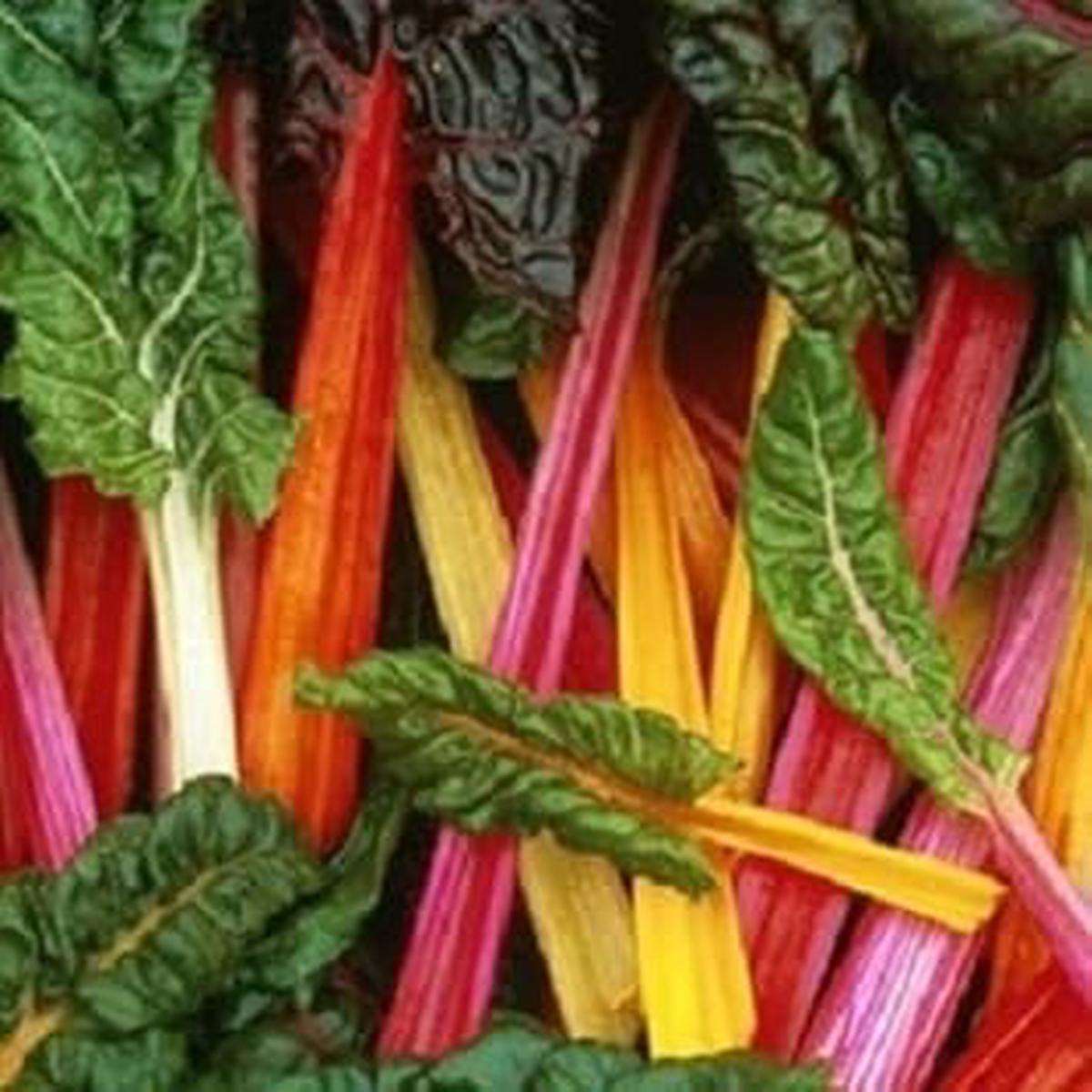 Mixed Chard Vegetable Seeds for Planting Heirloom & Non-GMO Seeds for Colorful, Nutritious Garden Greens