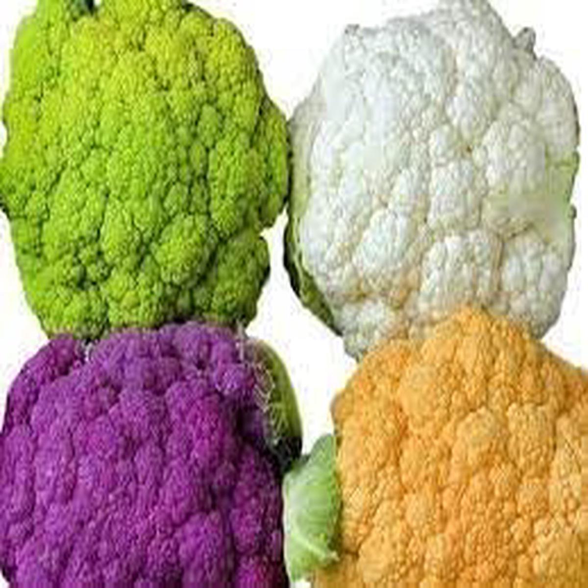 Cauliflower Seeds for Planting Heirloom & Non-GMO, High Germination Organic Garden Seeds