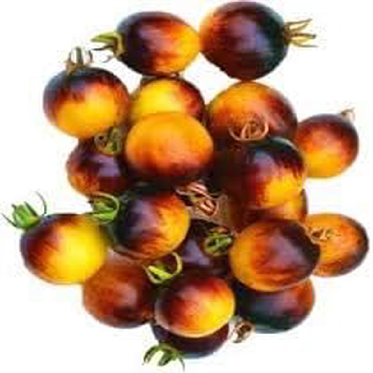 Yellow Red Tomato Seeds for Planting  Sweet heirloom & non-GMO blend for salad gardens