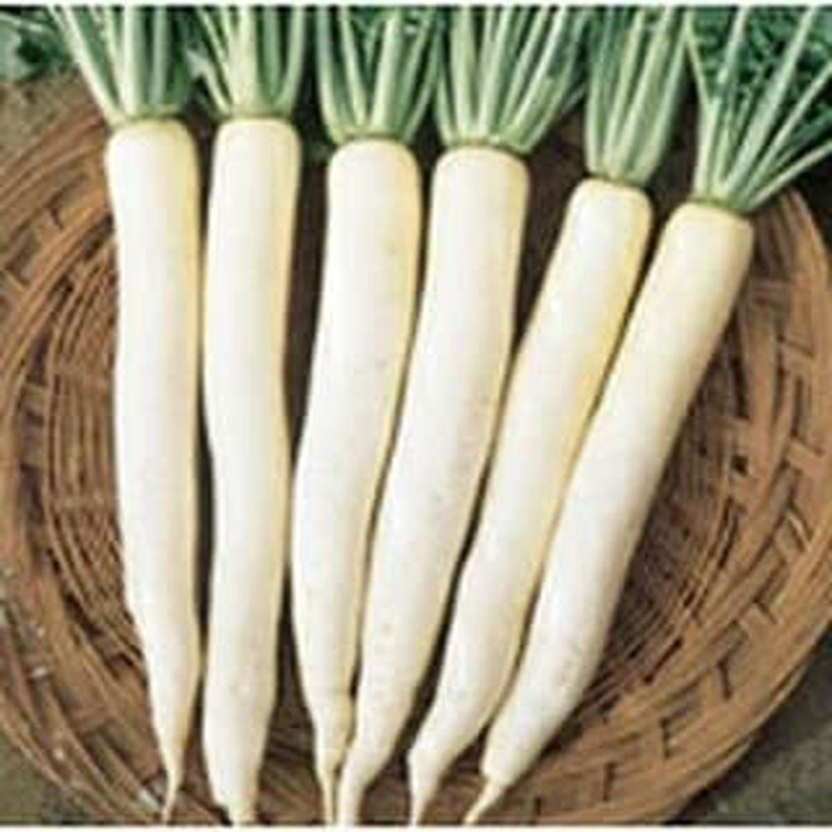 White Carrot Seeds for Planting  Heirloom, Non-GMO, High Germination, Mild & Sweet Root Vegetable