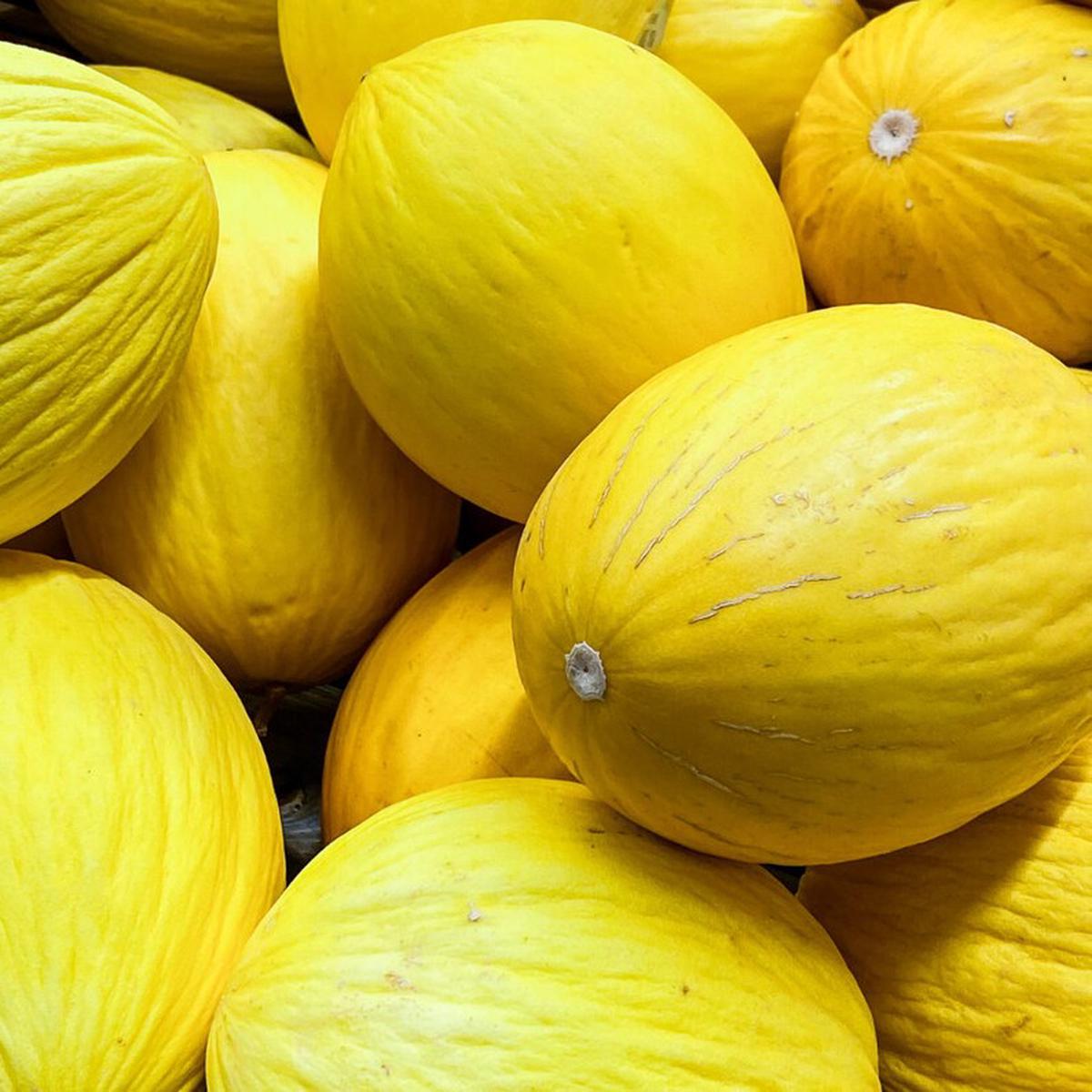 Yellow Canary Melon fruit seeds for planting  Heirloom & Non-GMO garden seeds for sweet refreshing harvest