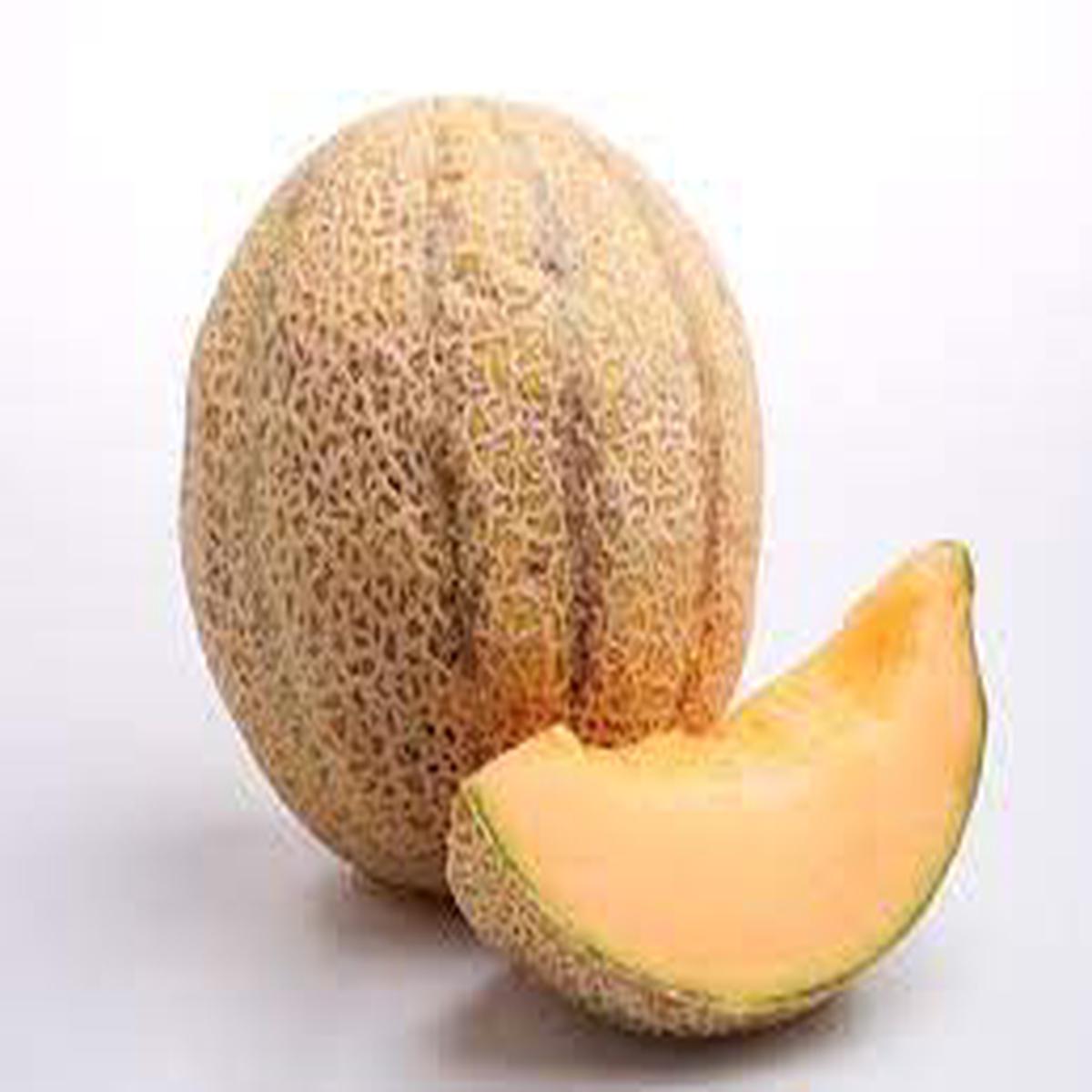 Galia Cantaloupe Melon Fruit Seeds Heirloom, Non-GMO Seeds with Honeydew-Cantaloupe Flavor