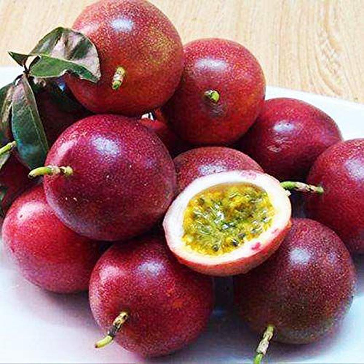 Dark Purple Passion Fruit Seeds Heirloom, Non-GMO Seeds for Lush Backyard Vine Planting