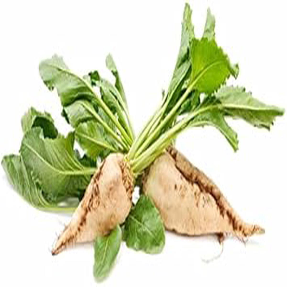 Cream Beetroot Vegetable Seeds for Planting Heirloom & Non-GMO Seeds for Light-Colored, Earthy Roots