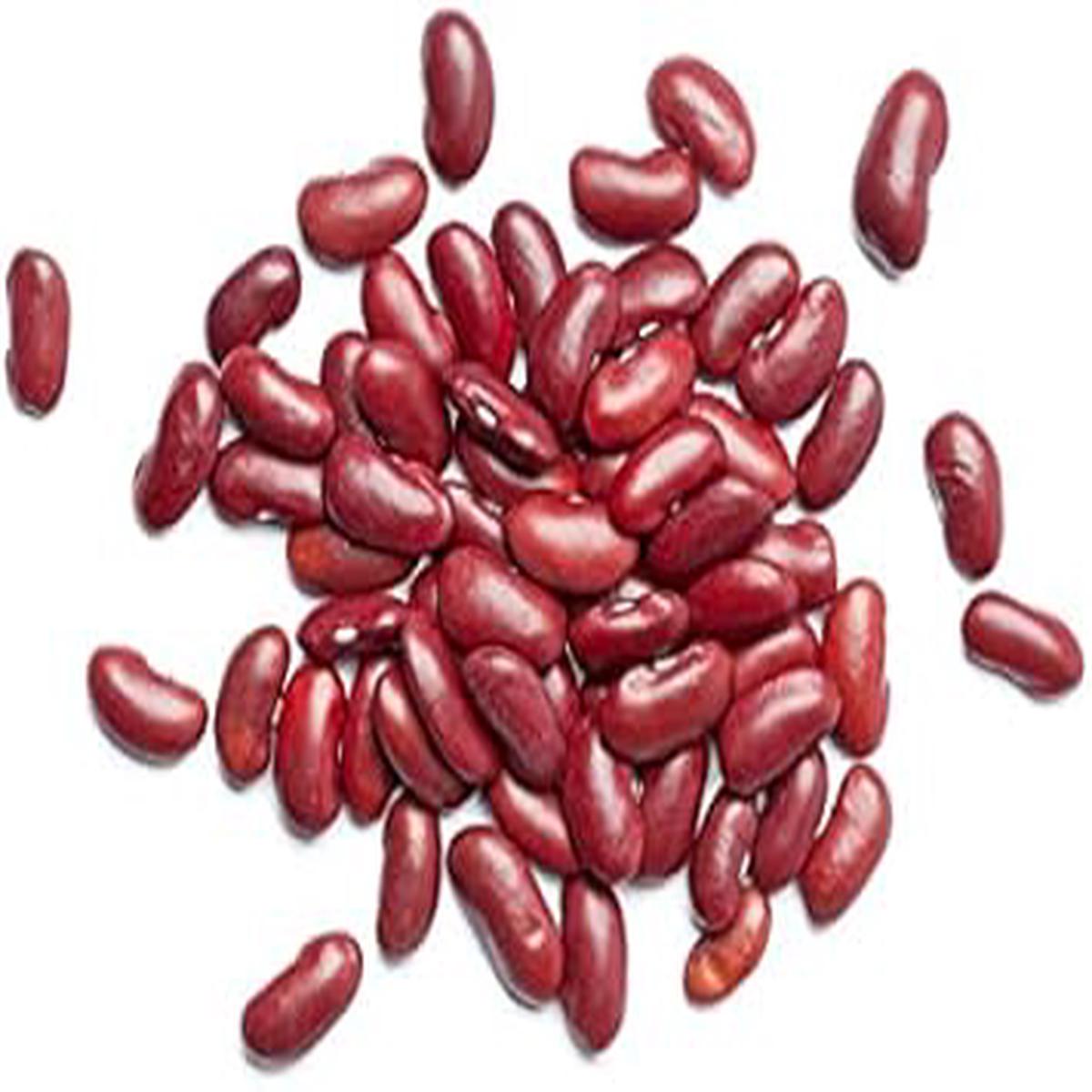 Red Bean Seeds for Planting Heirloom & Non-GMO Classic Culinary and Protein Variety