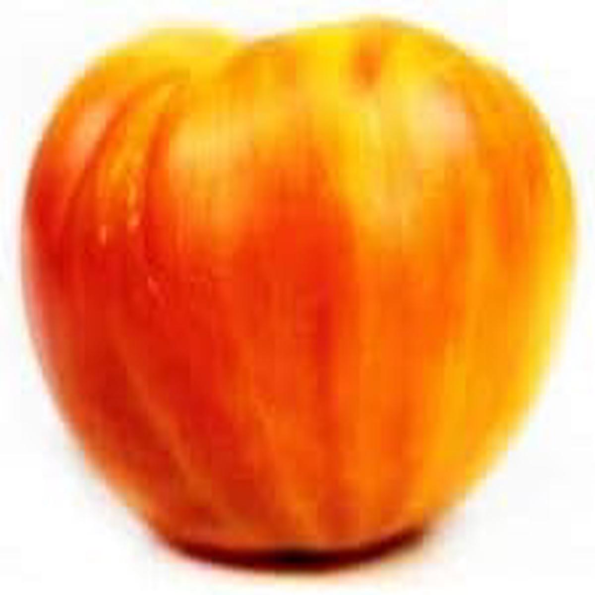 Big Tomato Seeds for Planting  Yellow & Orange Heirloom, Non-GMO, High Germination Organic Seeds for Dual-Toned Fruits