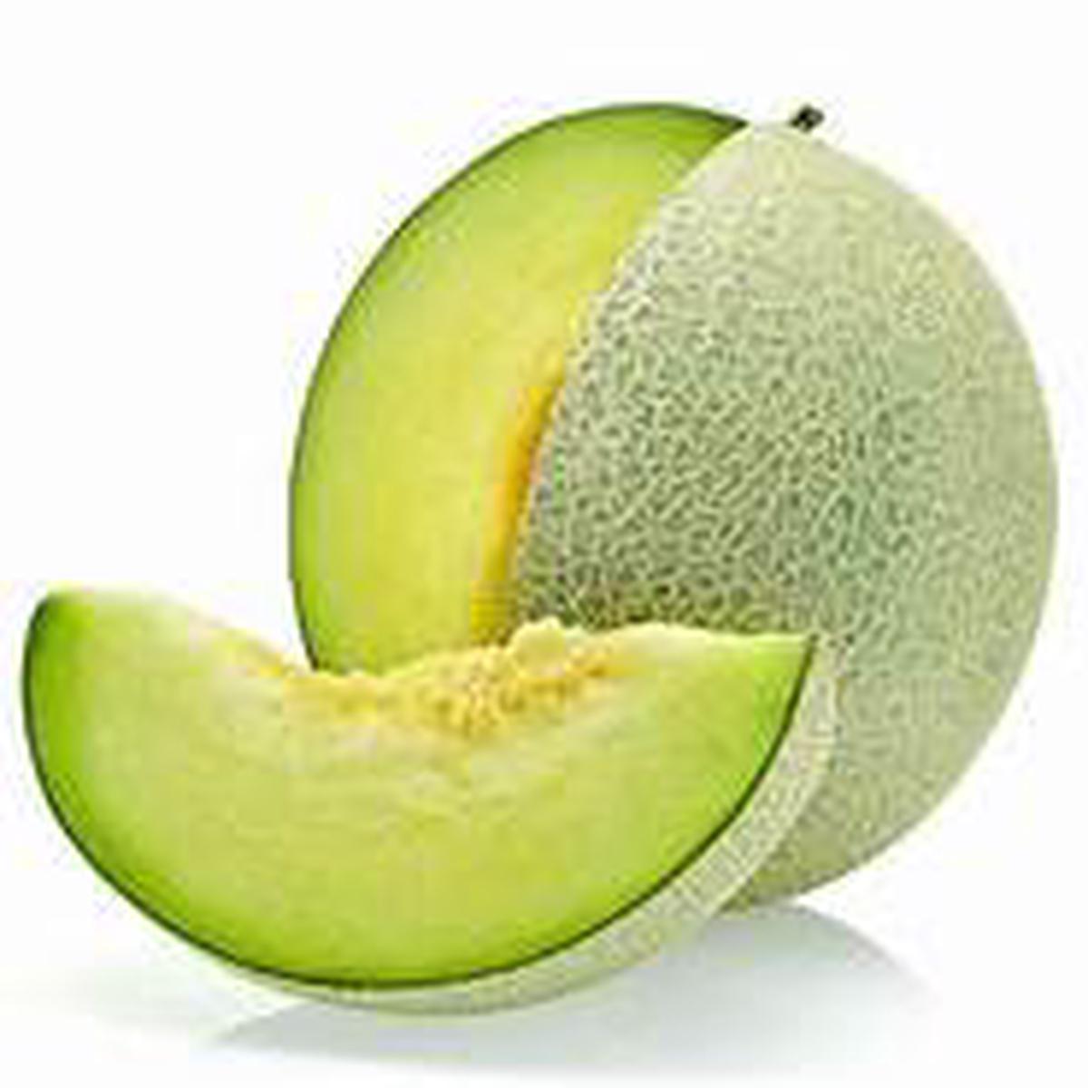 Honeydew Melon fruit seeds for planting - Heirloom & Non-GMO Garden seeds