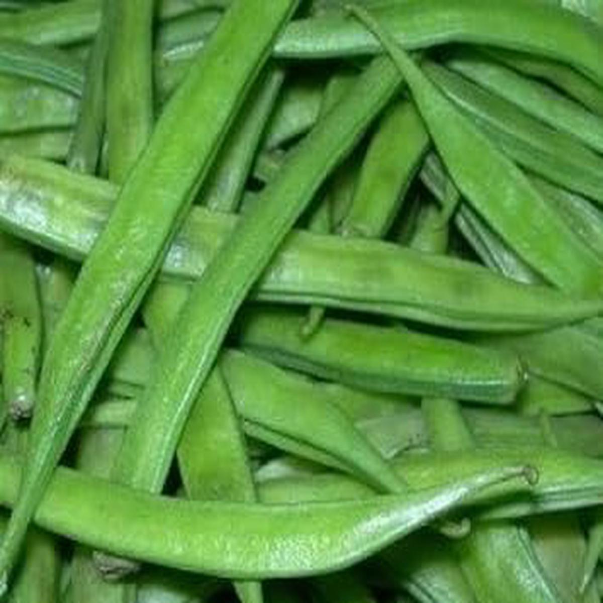 Beans Vegetable Seeds for Planting  Heirloom & Non-GMO, High Germination Organic Seeds for Climbing Legumes and High-Yield Harvests