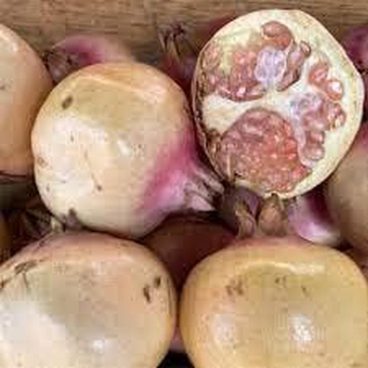 White Pomegranate fruit seeds for planting Heirloom & Non-GMO garden seeds, rare sweet-tart variety for backyards