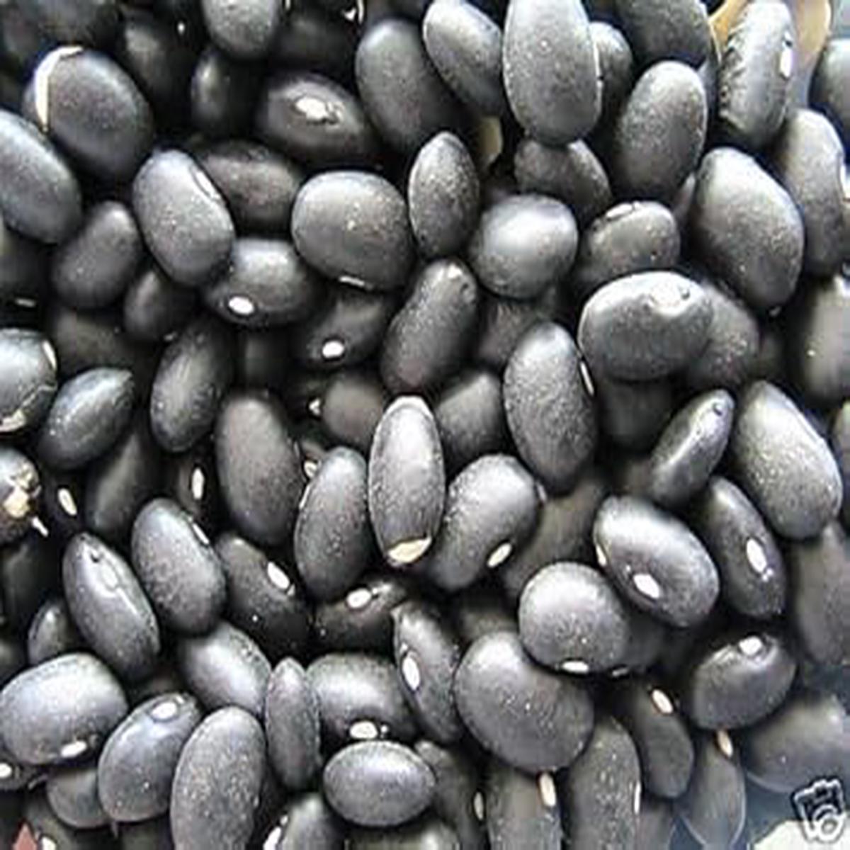 Black Coco Bean Seeds for Planting Heirloom Non-GMO, High Germination Organic Garden Seeds