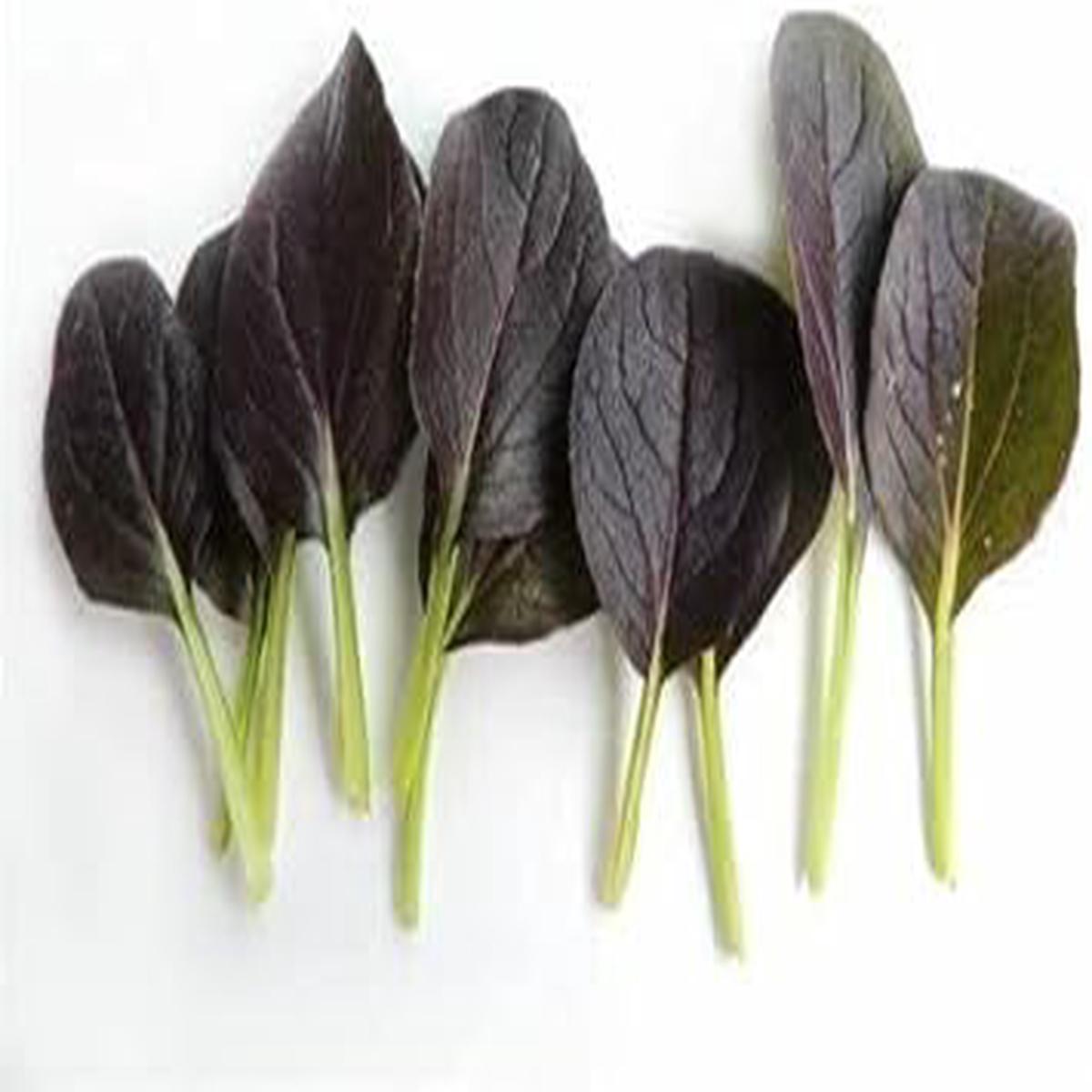 Black Bok Choy Seeds for Planting Heirloom, Non-GMO, Crisp Organic Garden Seeds Perfect for Stir-Fry Dishes
