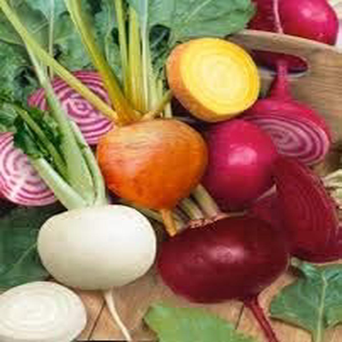 Beetroot Seeds for Planting Mixed Heirloom, Non-GMO, Colorful Roots Organic Garden Seeds