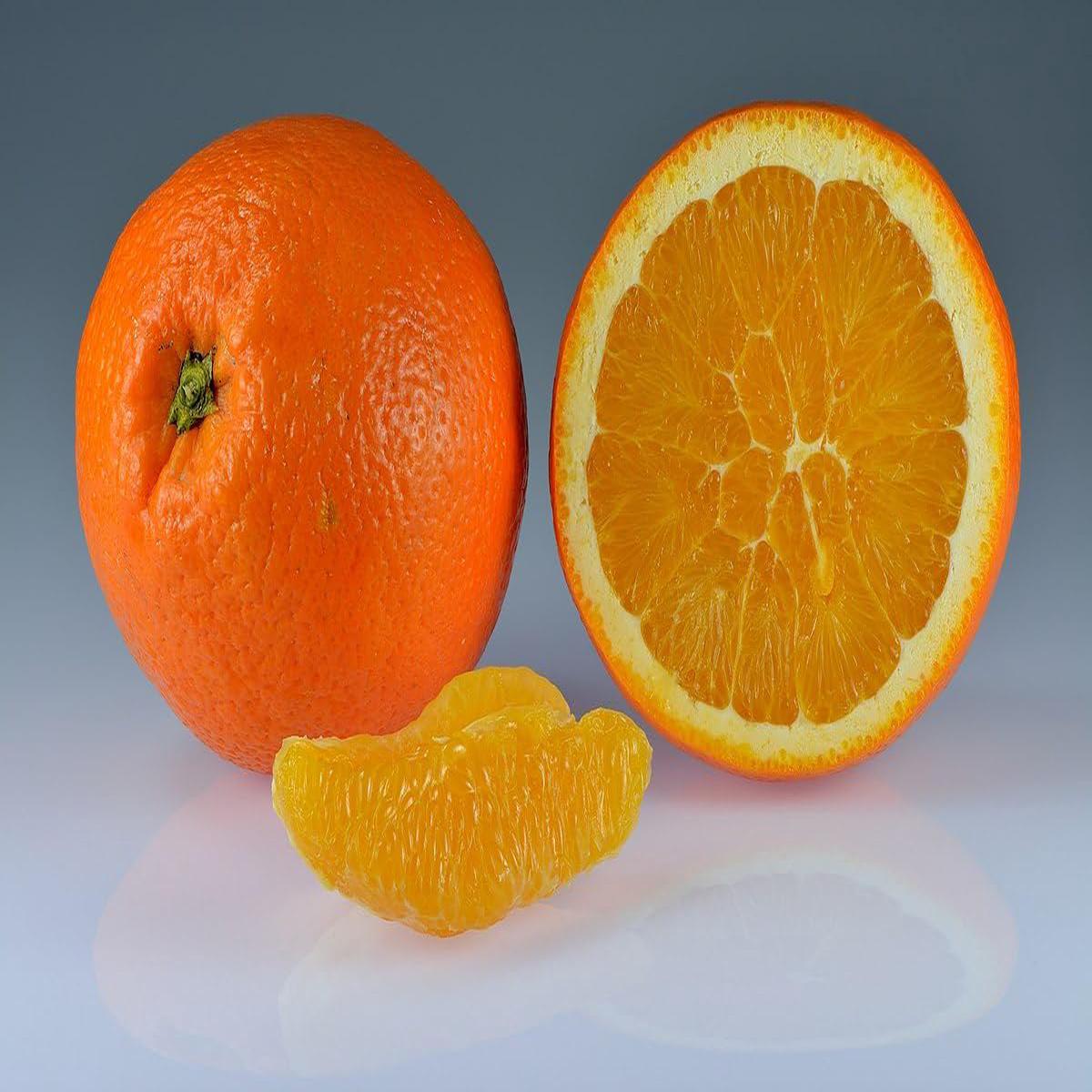Grapefruit Citrus fruit seeds for planting Heirloom & Non-GMO Garden seeds