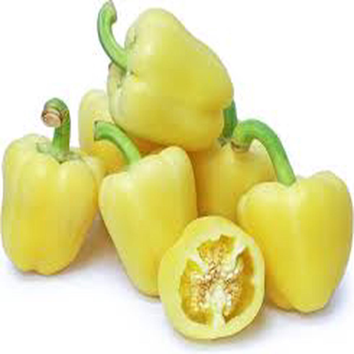 Light Yellow Bell Pepper flower seeds for planting - Heirloom & Non-GMO Garden Seeds