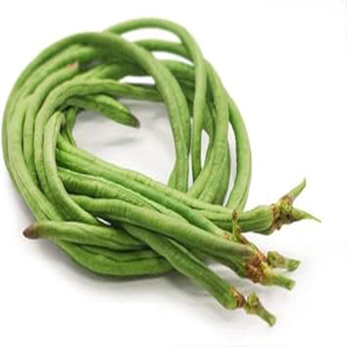 Yard Bean Seeds for Planting Heirloom, Non-GMO, High Germination Organic Garden Seeds for Long, Crisp Summer Pods