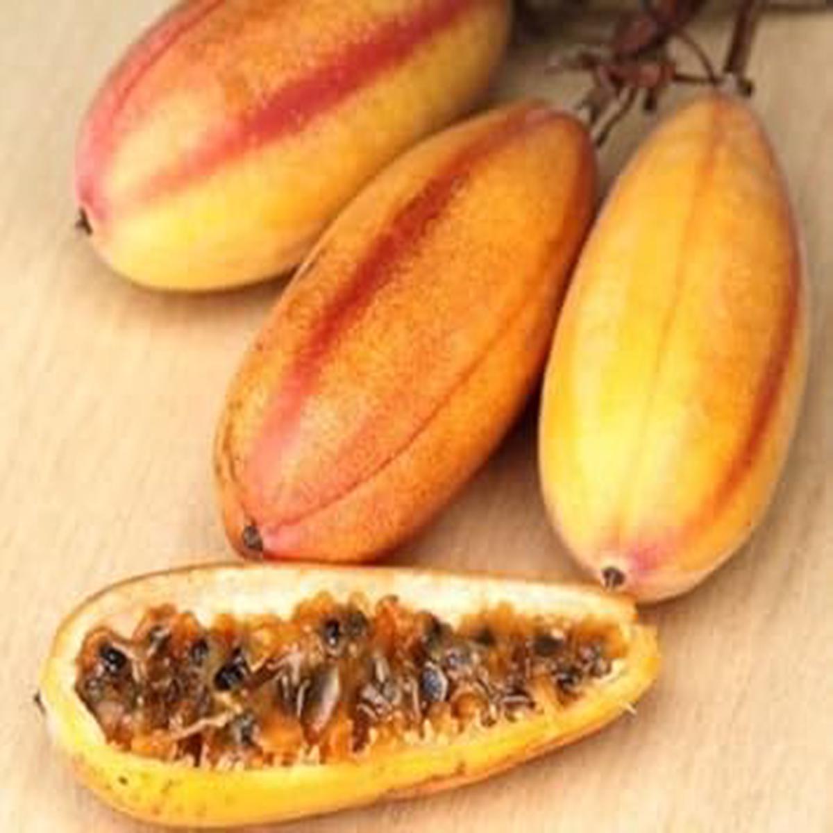 Yellow Passiflora Mollissima Fruit Seeds for Planting Heirloom & Non-GMO Garden Seeds