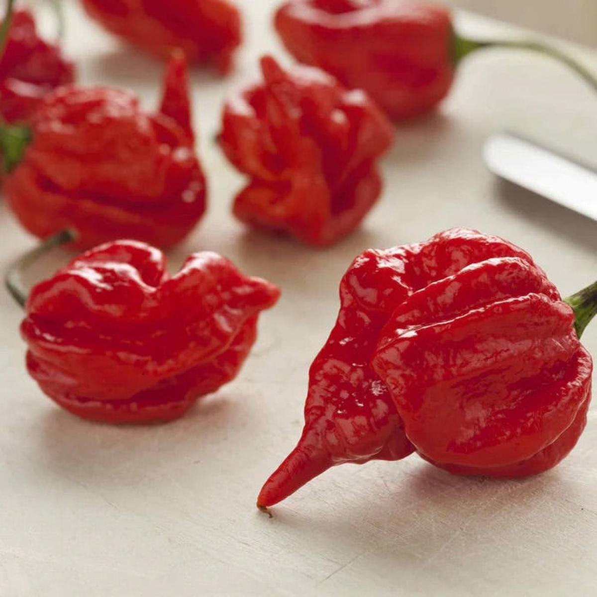 Aka Chapeau Pepper Seeds for Planting  Heirloom Non-GMO Unique Chili Vegetable Seeds with High Germination for Organic Gardens