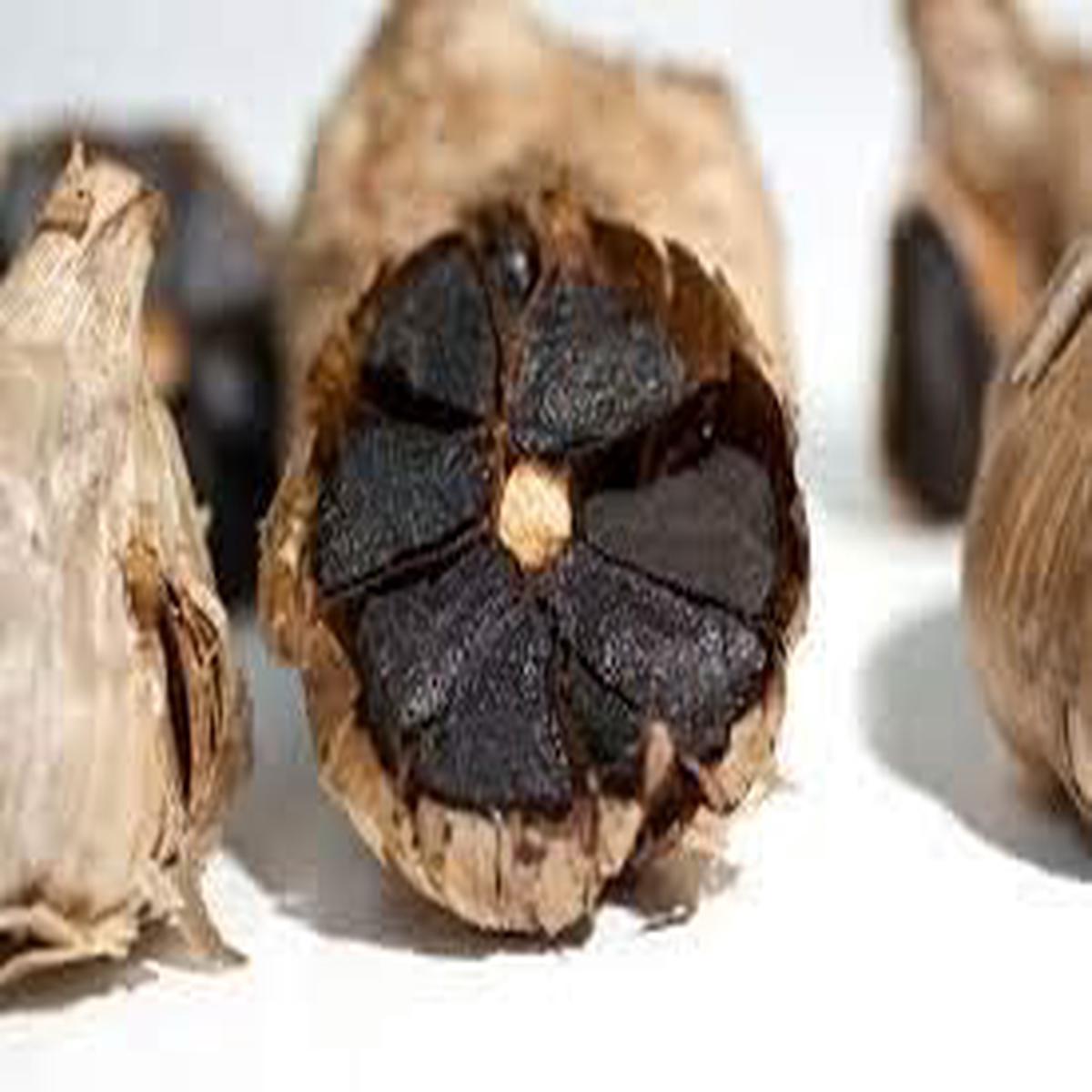 Black Garlic Seeds for Planting Heirloom Non-GMO, High Germination Organic Garden Seeds for Wellness Gardens