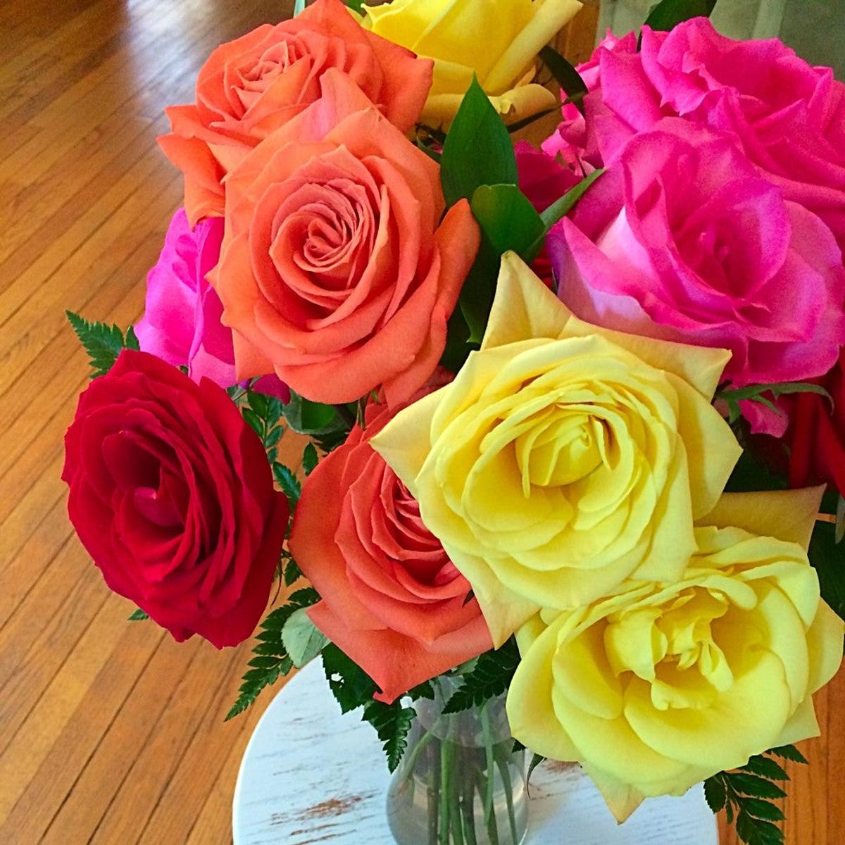 Mixed Rose Flower Seeds for Planting Heirloom, Non-GMO, High Germination Organic Garden Seeds
