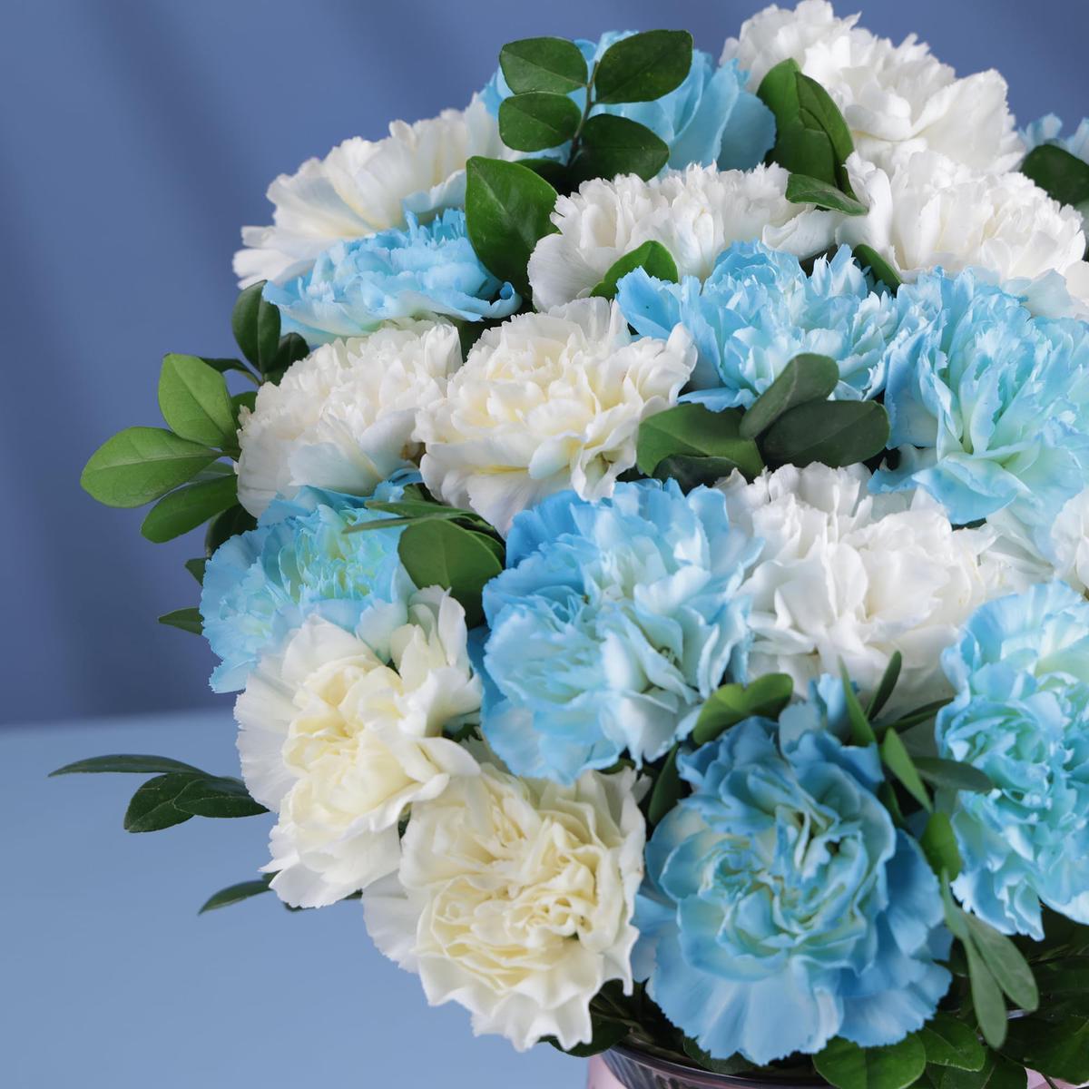 White Blue Carnation Flower Seeds for Planting Colorful Display, Heirloom, Non-GMO Home Garden