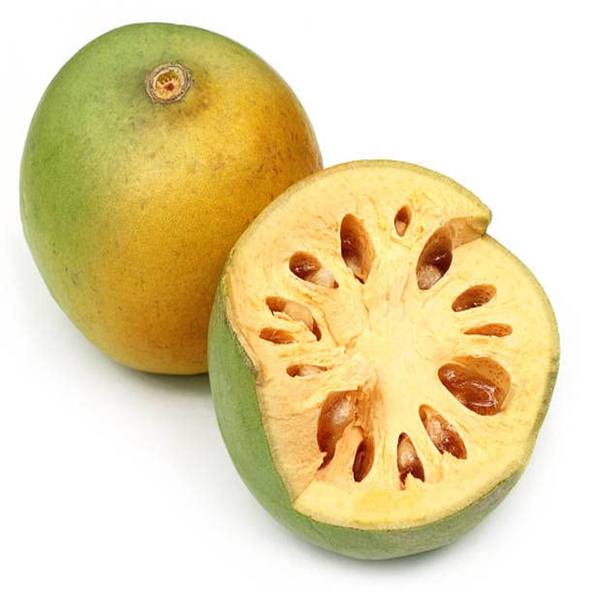 Yellow Aegle Marmelos fruit seeds for planting Heirloom & Non-GMO seeds for aromatic bael gardens