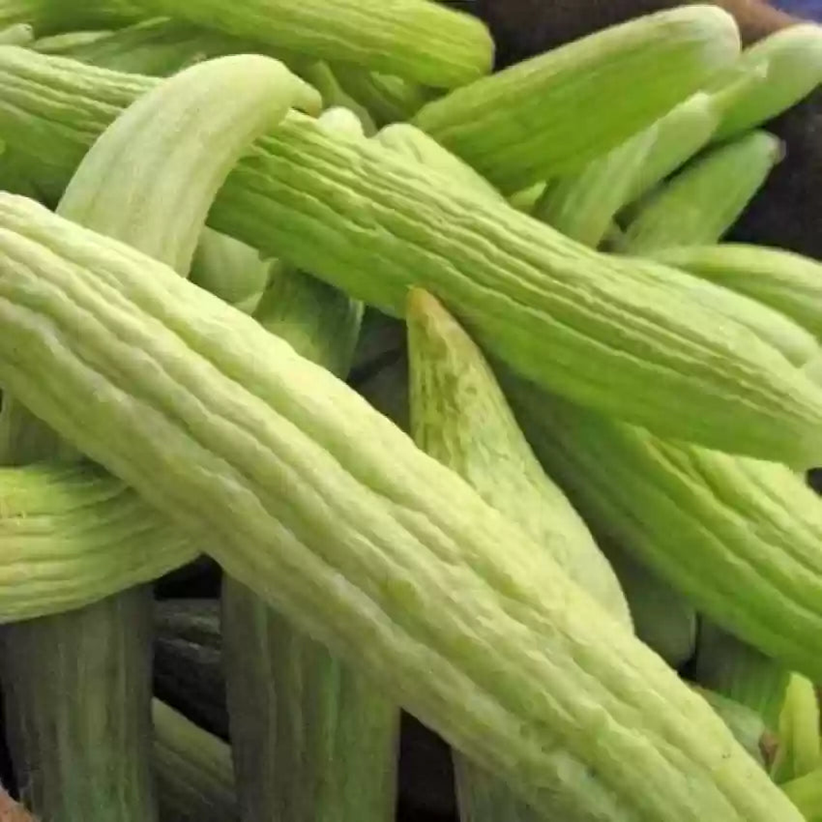 Armenian Pale Green Cucumber Seeds for Planting  Heirloom Non-GMO Seeds, crisp and curling fruits  100 pcs