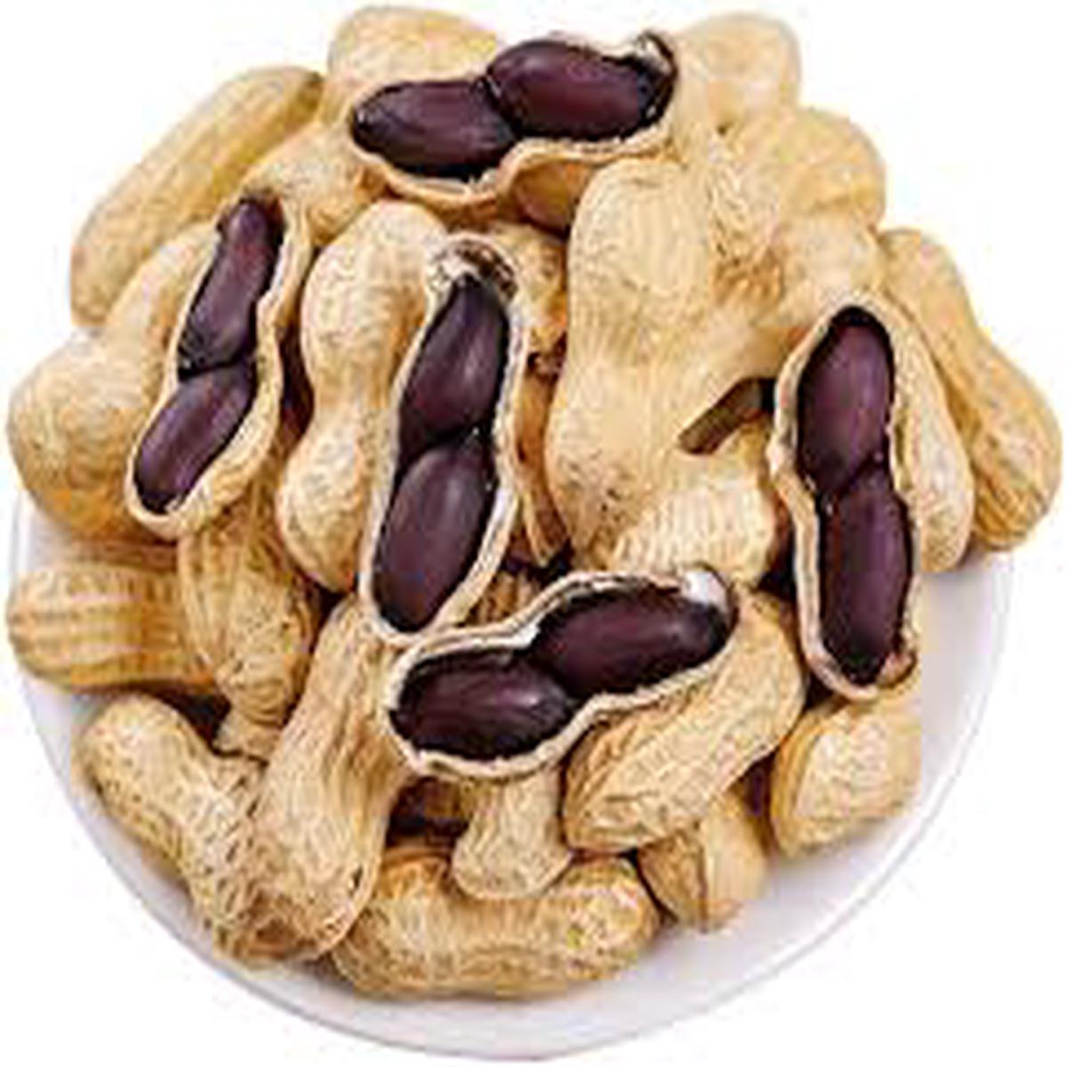 Black Peanut Seeds for Planting  Heirloom Non-GMO Organic Garden Seeds with High Germination for Vegetables