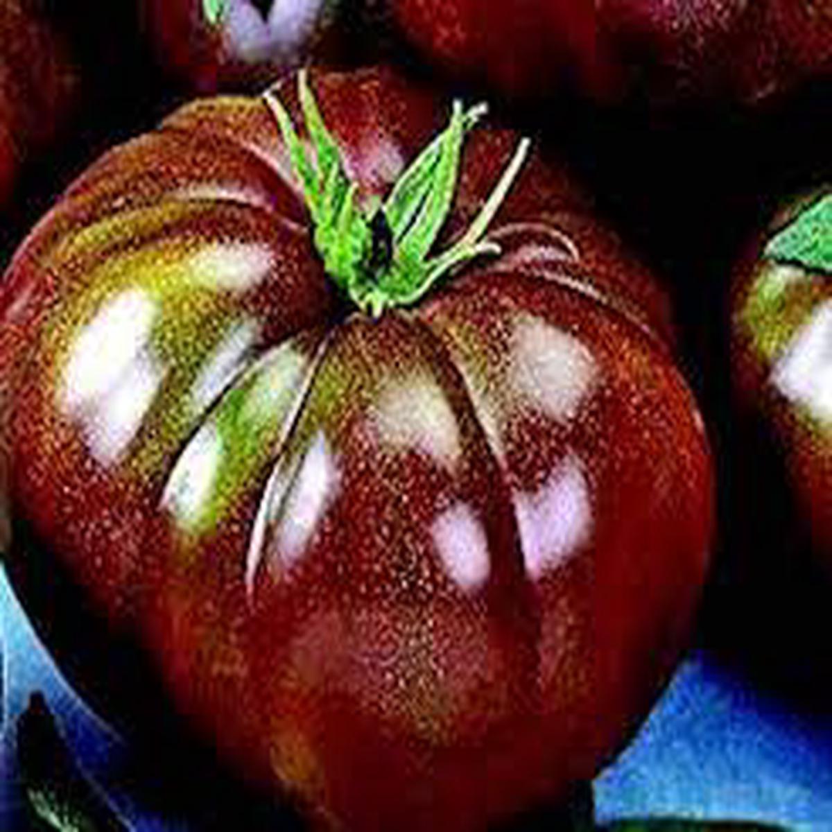 Brown Giant Tomato flower seeds for planting - Heirloom & Non-GMO Garden Seeds