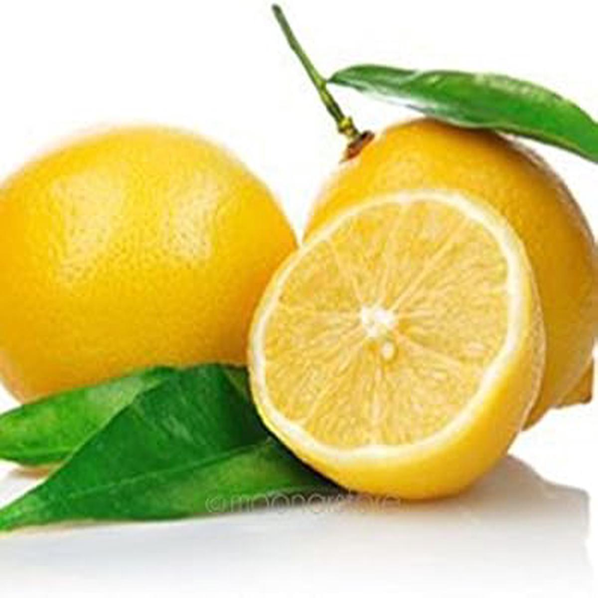 Yellow Lemon fruit seeds for planting Heirloom & Non-GMO citrus garden seeds