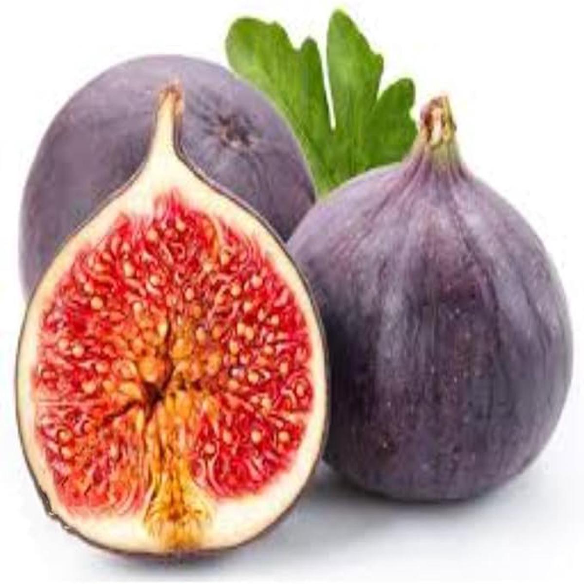Black Fig Tree Seeds for Planting  Heirloom, Non-GMO for Sweet Mediterranean Garden Shrubs  100 pcs