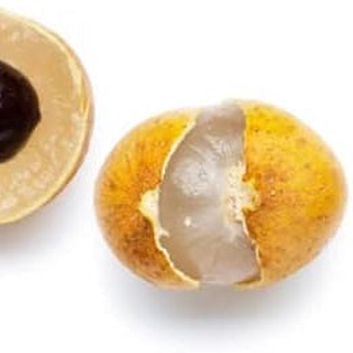 Golden Yellow Longan fruit seeds for planting - Heirloom & Non-GMO Tropical Garden seeds