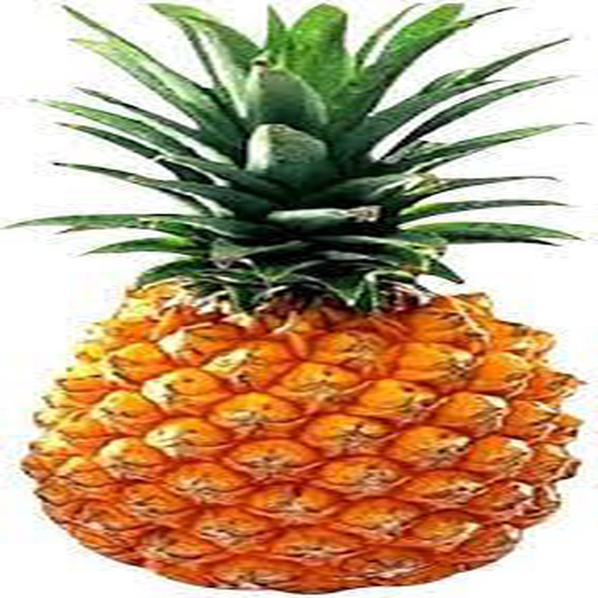 Orange Pineapple fruit seeds for planting - Heirloom & Non-GMO Garden seeds