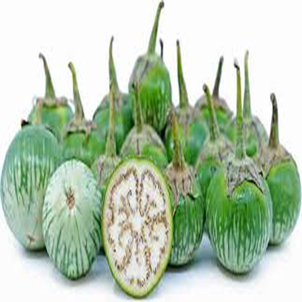 Thai Eggplant Vegetable Seeds for Planting Heirloom & Non-GMO Garden Seeds